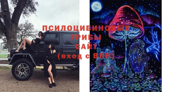 МДПВ Абинск