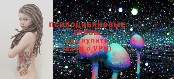 МДПВ Абинск