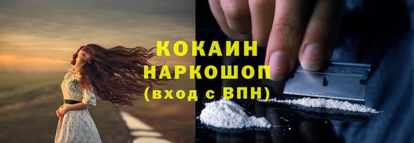 гашик Абаза