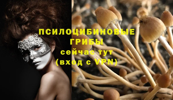 гашик Абаза