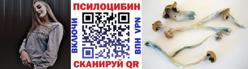 Галлюциногенные грибы Cubensis  Кандалакша 